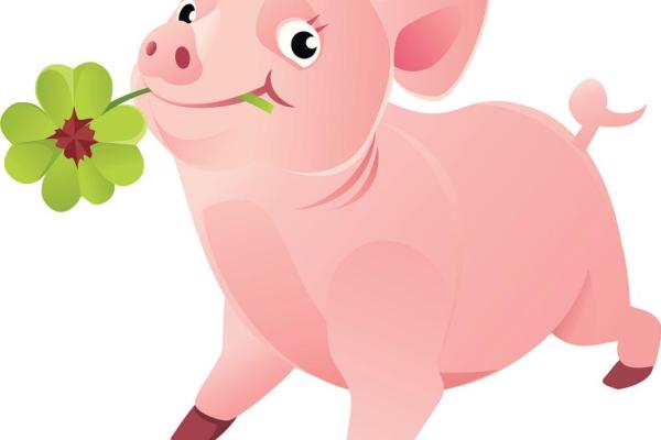 2019年属狗人的命运解析：幸福与挑战并存的生活旅程