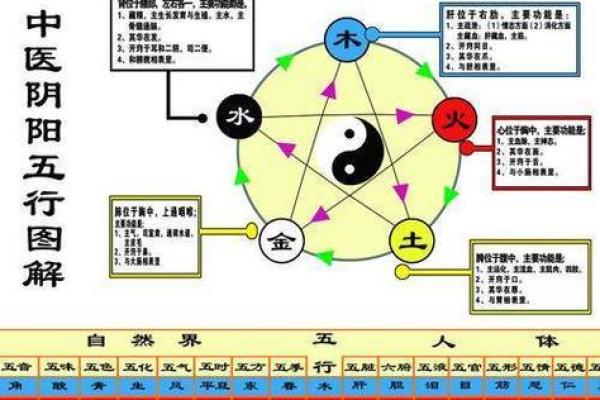 探索五行之道:木命、水命与火命的相生相克关系 探索五行之道:木命、水命与火命的相生相克关系