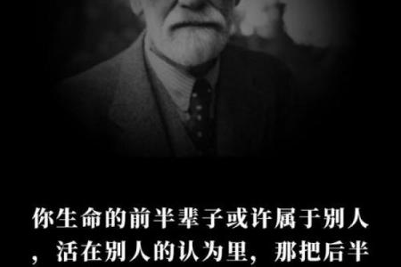 探索“吾命”背后的深意与人生的启示