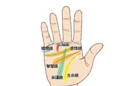 解读84年正月十七子时出生的命理特征与运势轨迹
