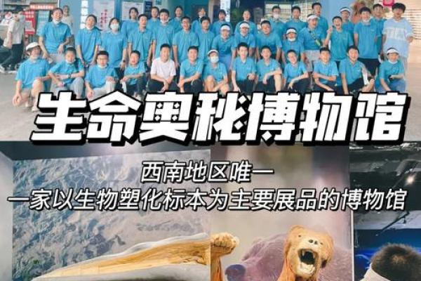 探索生命奥秘：什么是原始生命的起源？