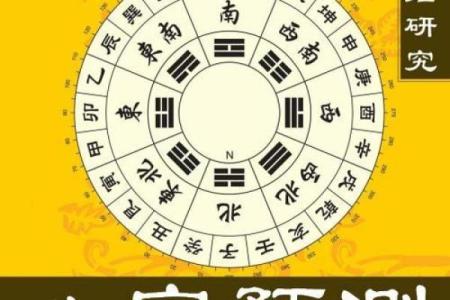 亥时出生的男人：命运与性格的深度解析
