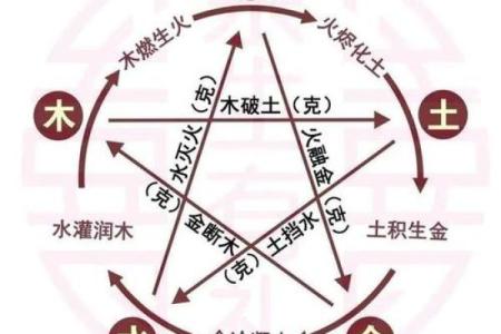 木命与数字克制的奥秘:探索五行的神秘关系