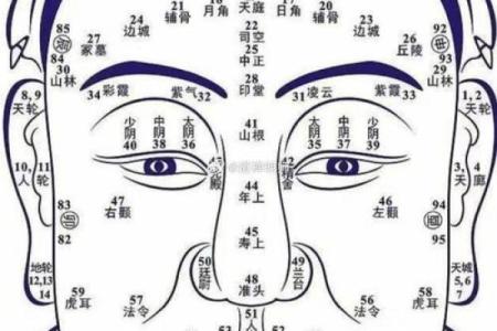 女性鼻子塌的命理解析：从面相看人生的运势与性格