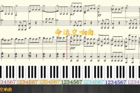 命运的交响曲:探寻生活中的深层意义与重要性