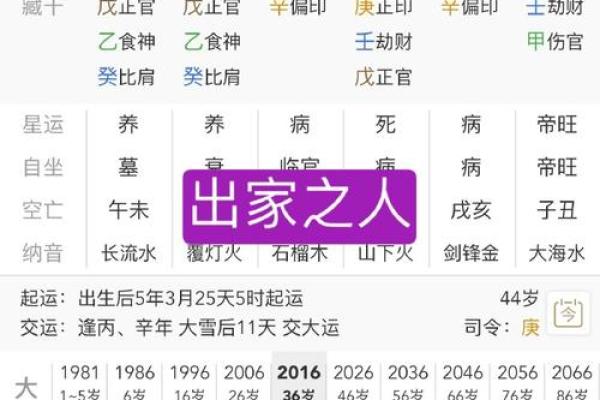 探秘壬午己酉命格，揭示人生潜力与运势的秘密