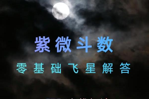 探秘紫薇命盘：了解你命运的秘密钥匙