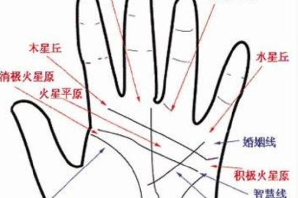 手掌长度解析：从手掌看命运与个性之谜