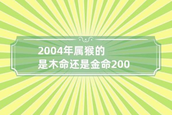 2004壬申年出生者命运解析：揭示水猴的神秘力量与人生旅程