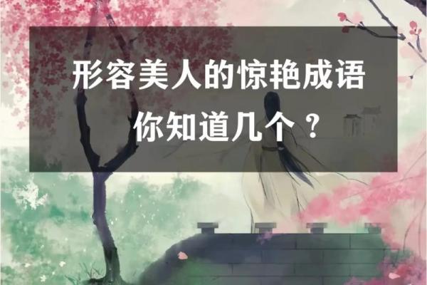 探寻“什么什么如命”的成语之美与智慧