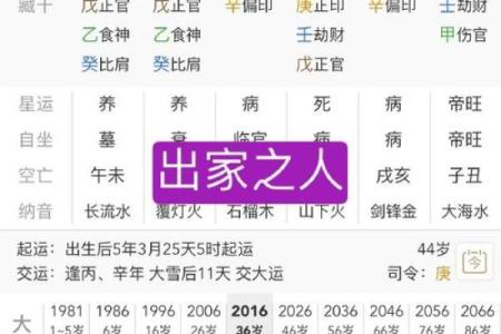 探秘壬午己酉命格，揭示人生潜力与运势的秘密