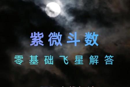 探秘紫薇命盘：了解你命运的秘密钥匙