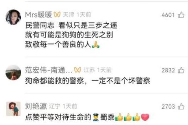 救人一命，救狗一命——每一个生命都有其独特价值