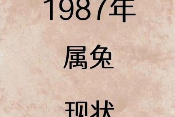 1987年，金命命主的命理解析与运势展望