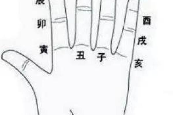 酉时出生的蛇：命运与性格的深刻解析