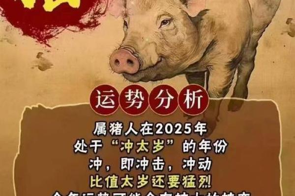属猪53岁是什么命？揭秘属猪人的命运与性格特征！