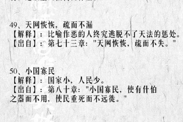 探寻成语背后的智慧：从“查一下”到“什么什么什么”