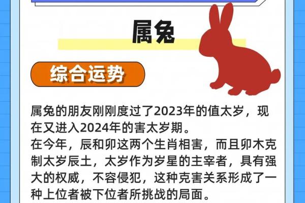 兔年出生的宝宝命运解析：性格特征与成长指导