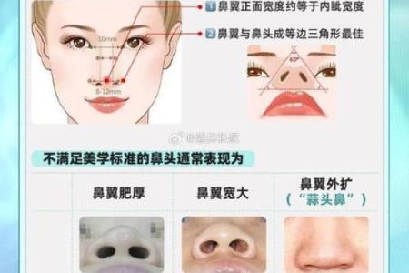 男生鼻子很大是什么命?解读鼻型与命运的奥秘