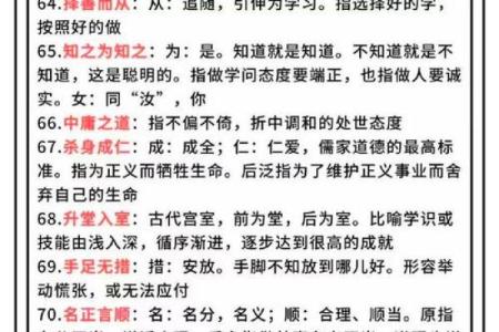 探寻成语背后的智慧：从“查一下”到“什么什么什么”