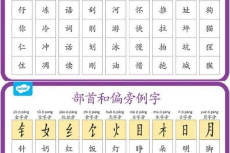 字部首的魅力：探秘汉字的结构与奥秘