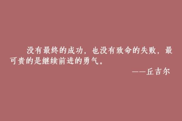 坚决一命换一命的坚持与牺牲：勇敢的选择与背后的故事