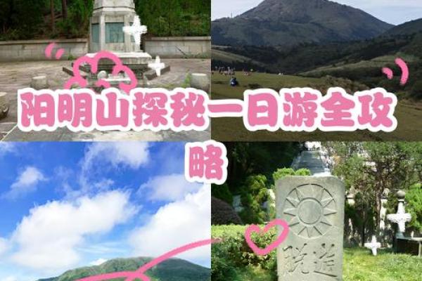 探秘山命：人生与自然的奇妙联系与解读