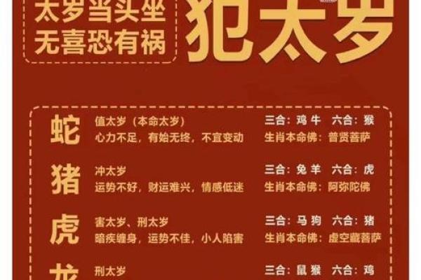 属相猴命运解析：哪种猴命最好以及其性格特点与运势