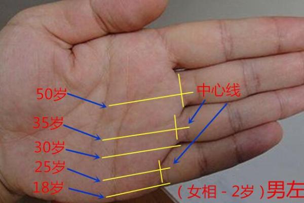 探秘手上的横线:解读生命中的神秘符号 探秘手上的横线:解读生命中的神秘符号