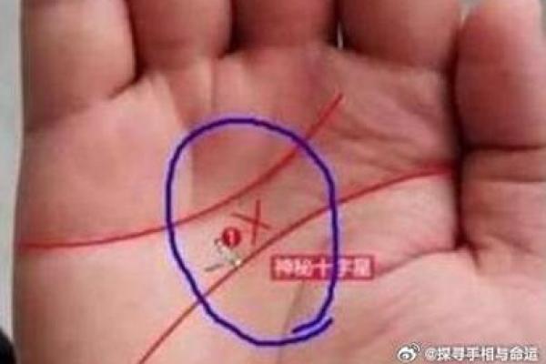 探秘手上的横线:解读生命中的神秘符号 探秘手上的横线:解读生命中的神秘符号