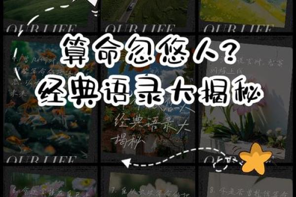 揭开命理的神秘面纱：探索你的命运与未来