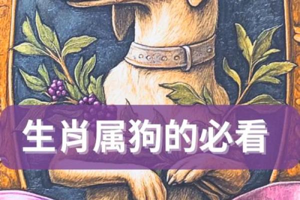 属狗人的命运与性格解析：探寻内心深处的智慧与勇气