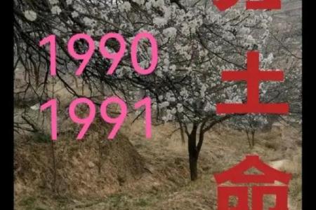 1977年出生的土命人：破解命理背后的秘密与机遇