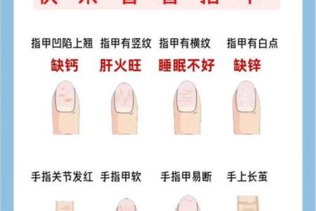 看指甲测命：揭秘你的命运与性格关系