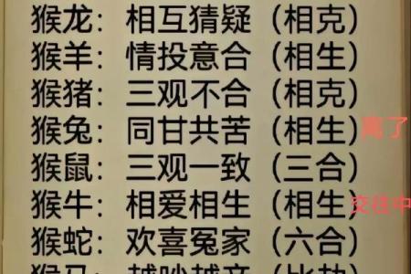 属相猴命运解析：哪种猴命最好以及其性格特点与运势