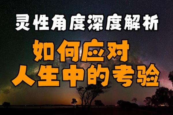 探秘命理之道：从肩膀向下的命运解析与人生轨迹