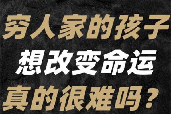穷人的单身命运：一场关于爱情与金钱的深思