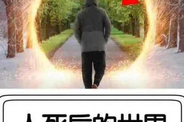 探寻命鬼值钱的秘密：人与命运的奇妙关系