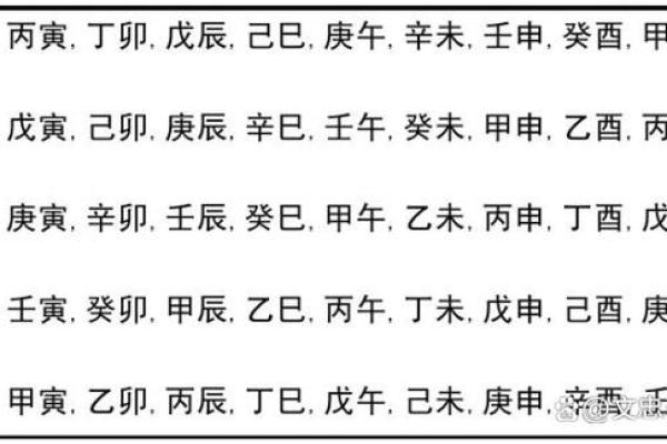 探秘乙亥戊子癸未命之人生哲学与命运解析