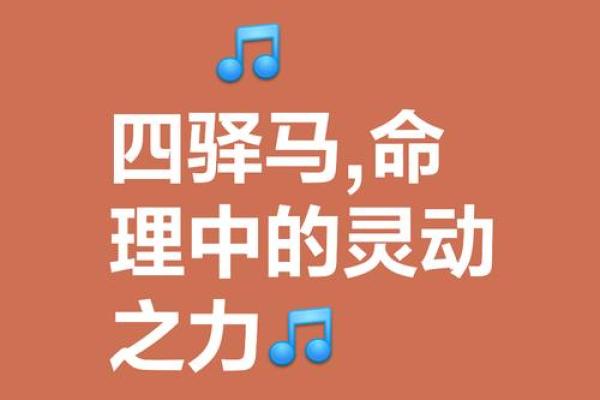 深入解读甲戌己亥命人：命理与人生的奇妙之旅