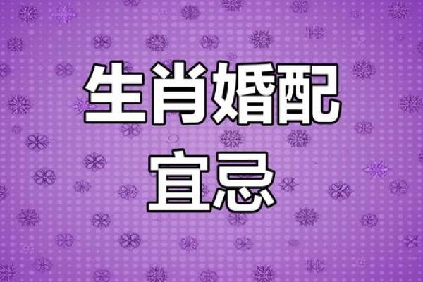 乙丑年女命婚配解析：如何找到最合适的另一半？