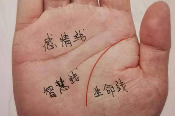 手指的长短与命运的奥秘：看手指解读人生轨迹