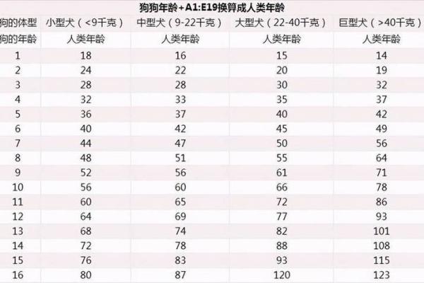属狗人在狗年出生的命运与性格分析