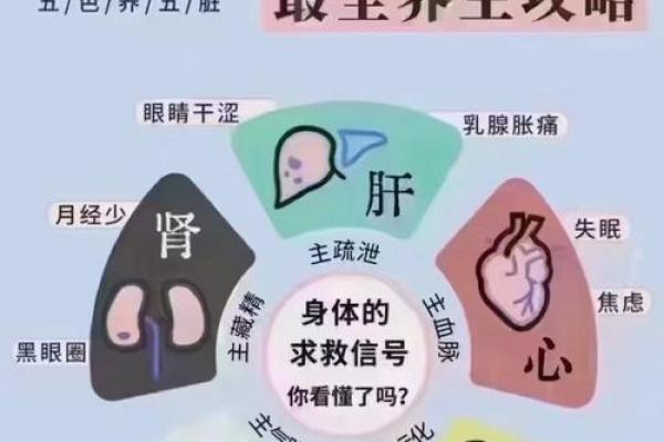 79火命人的命理解析：寻找内心的平衡与完美