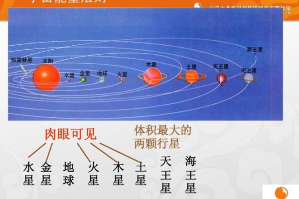 龙在亥时出生的命运解析：揭示你的潜力与人生之路