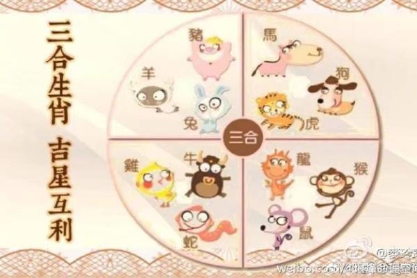 乐天如命，与生肖的亲密关系探秘