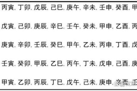 探秘乙亥戊子癸未命之人生哲学与命运解析