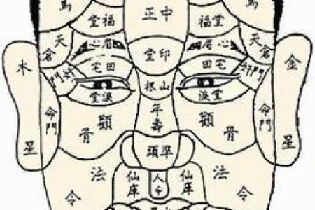 揭秘旺夫命：男人的面相特征与家庭幸福的秘密