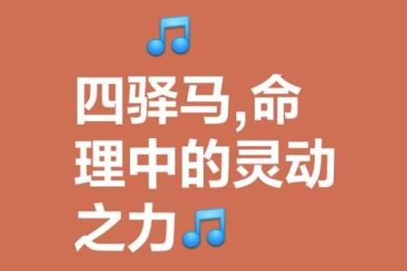 深入解读甲戌己亥命人：命理与人生的奇妙之旅