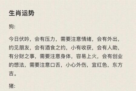 1977年男士命运解析：不可思议的八字与生活运势
